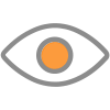 Vision